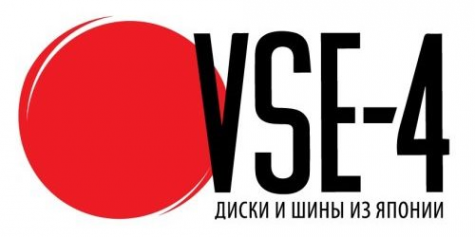 Логотип компании VSE-4