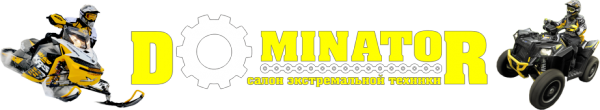 Логотип компании ДОМИНАТОР