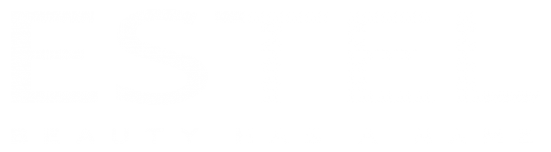 Логотип компании ESTEL IRKUTSK STUDIO