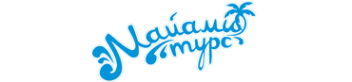 Логотип компании Майами Турс
