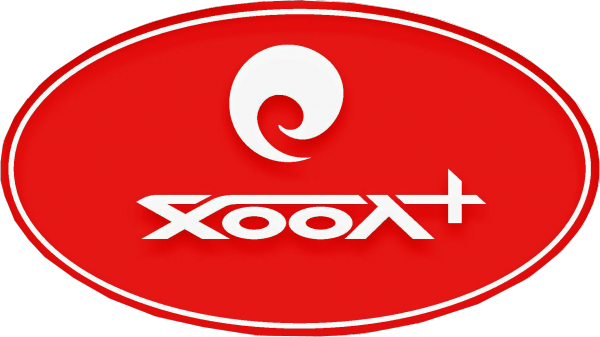Логотип компании Хоол+