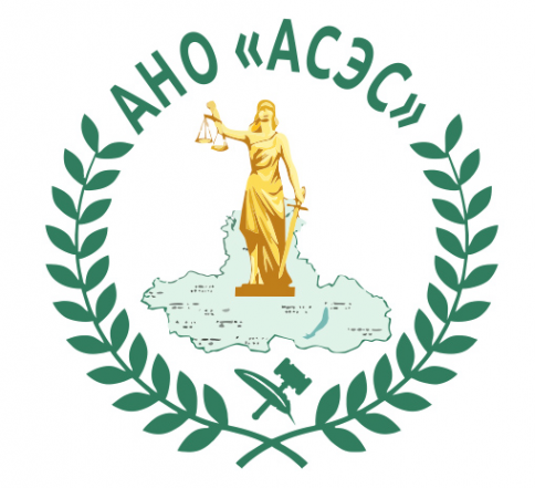 Логотип компании АНО АСЭС