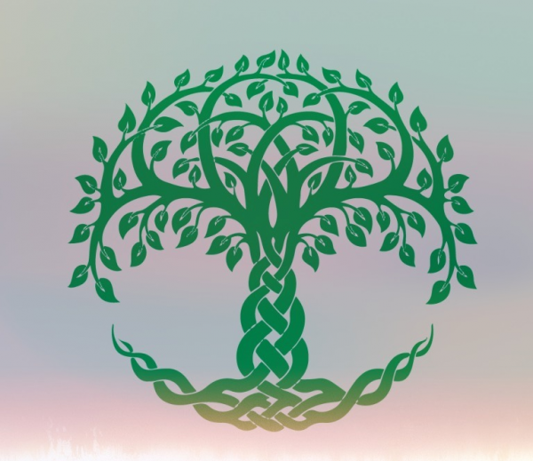 Логотип компании Сибирский Целитель