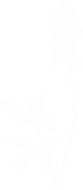 Логотип компании КЛЕВЕР