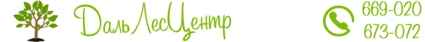 Логотип компании ДальЛесЦентр