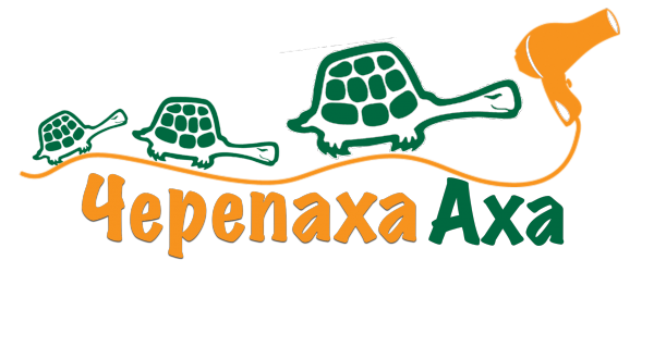 Логотип компании Черепаха Аха