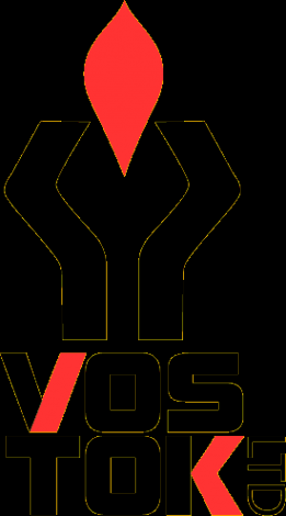 Логотип компании Восток ЛТД