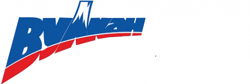 Логотип компании Вулкан