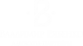 Логотип компании Владимир Рябенко и партнеры