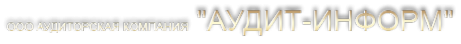 Логотип компании Аудит-Информ
